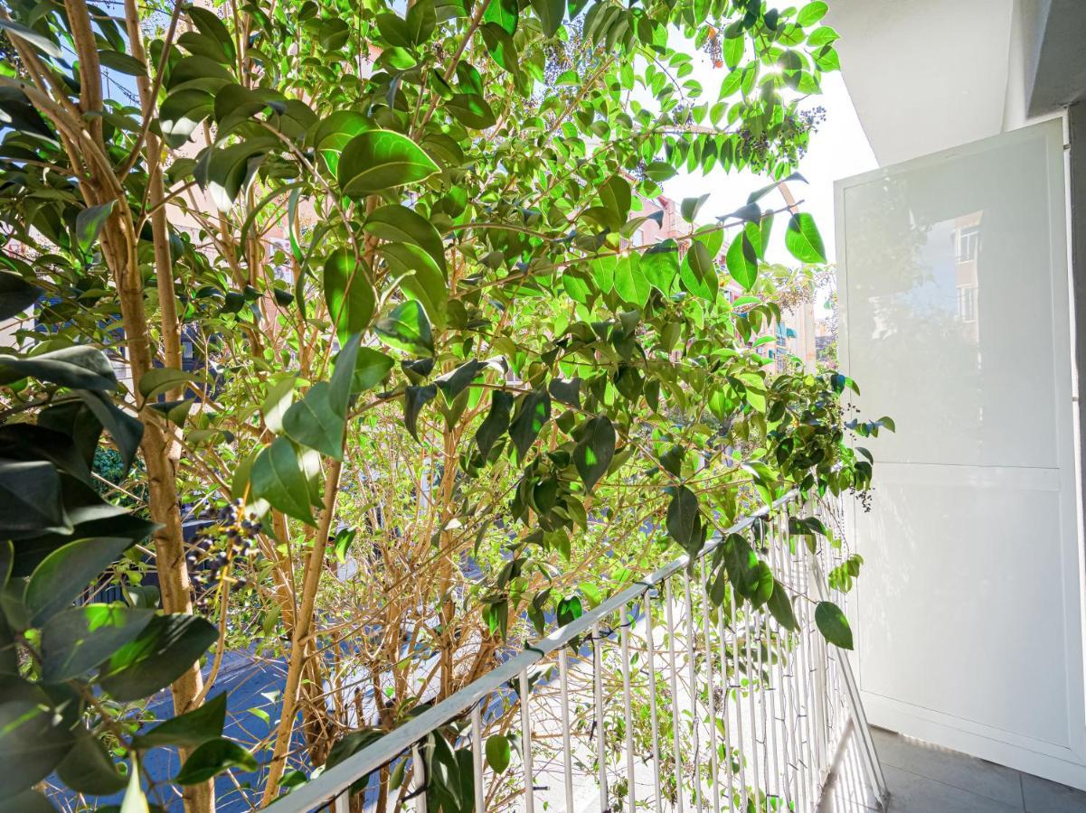Hostal Jireh لقنت المظهر الخارجي الصورة